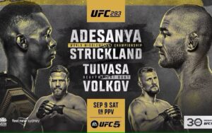 UFC293